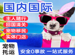 静巴航空空运国际宠物托运 【国